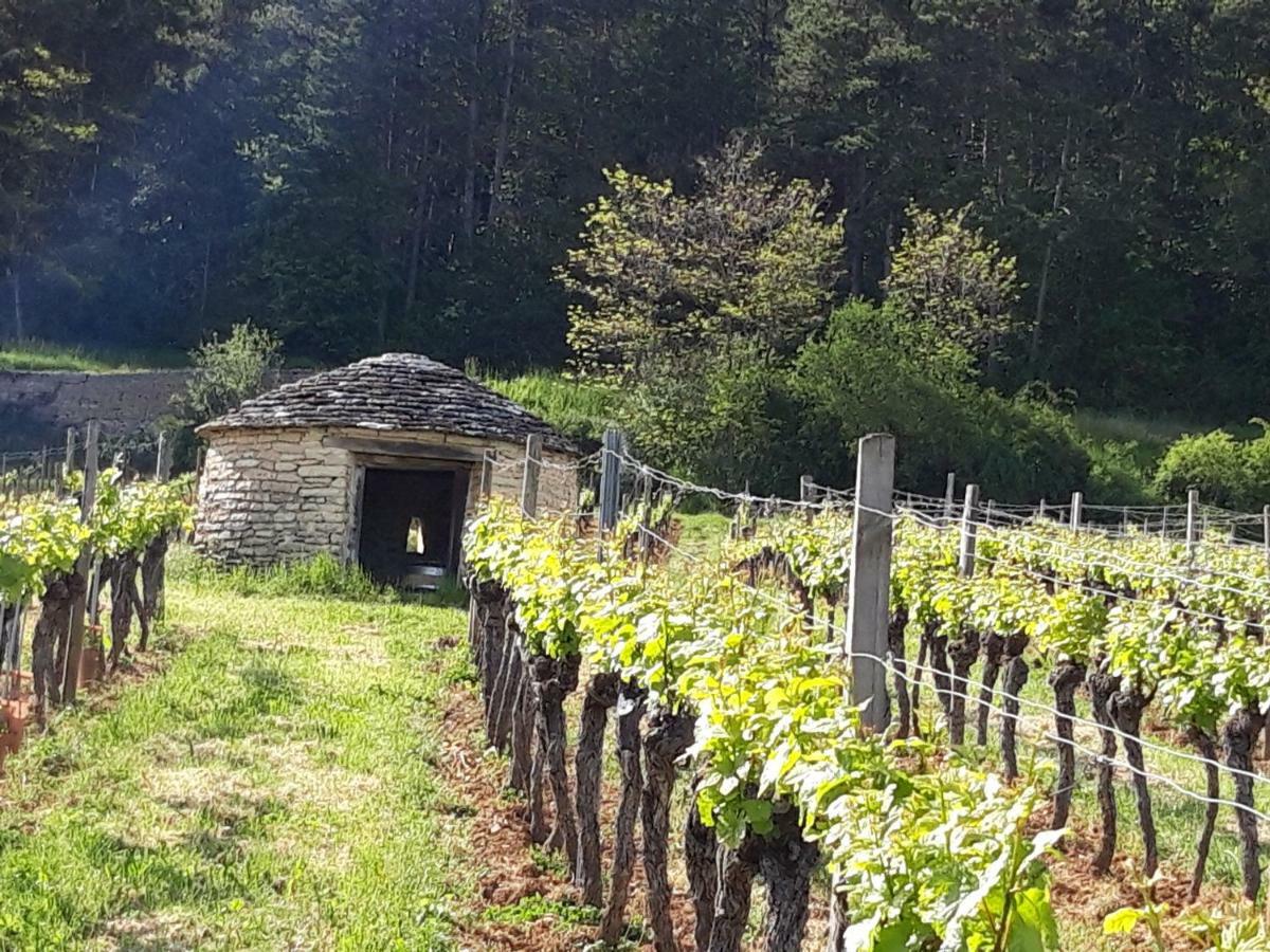 Bed and Breakfast Le Bois De Laval Marey-les-Fussey Exterior foto