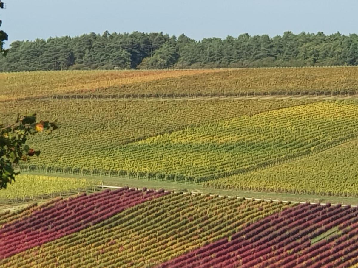 Bed and Breakfast Le Bois De Laval Marey-les-Fussey Exterior foto